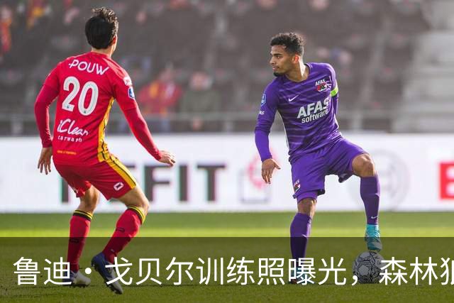 鲁迪·戈贝尔训练照曝光，森林狼为他重返赛场欢呼！